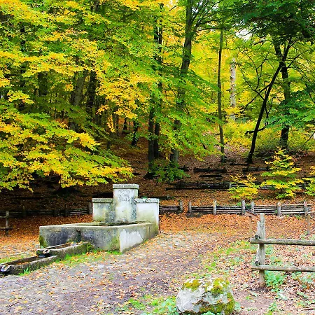 La Valle Di Vico Gospodarstwo wiejskie *